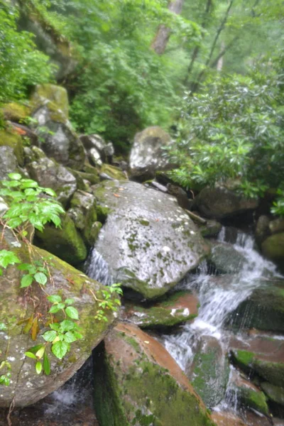 Красивый Водопад Лесу — стоковое фото