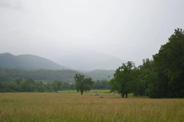 Bela Paisagem Com Uma Árvore Uma Montanha — Fotografia de Stock