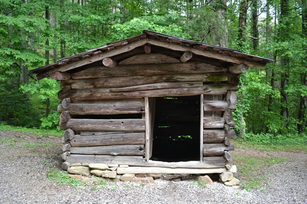 Stary Drewniany Dom Lesie — Zdjęcie stockowe