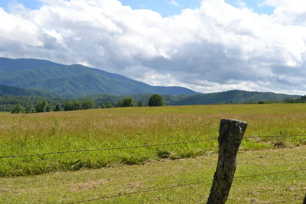 Bela Paisagem Com Uma Montanha Fundo — Fotografia de Stock