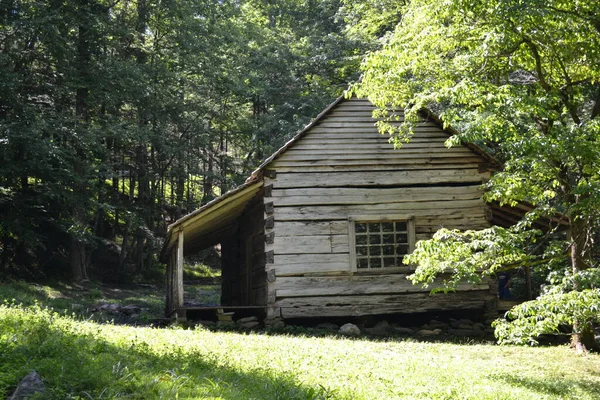 Dřevěný Dům Lese — Stock fotografie