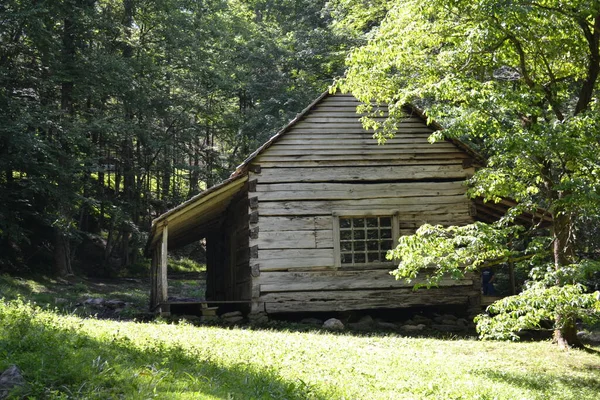 Maison Bois Dans Forêt — Photo