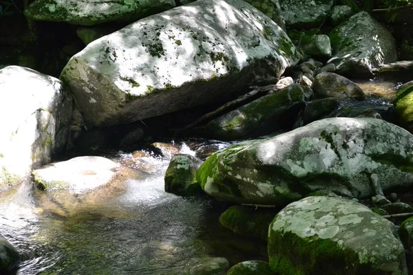 Scenic View Smoky Mountains — Stockfoto