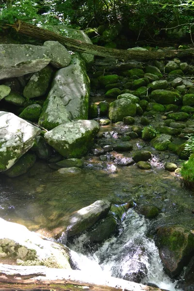 Dumanlı Dağların Manzarası — Stok fotoğraf