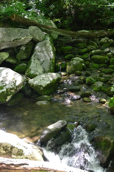 Scenic View Smoky Mountains — Stock Fotó