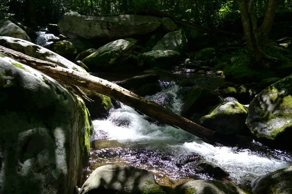 Scenic View Smoky Mountains — Stockfoto