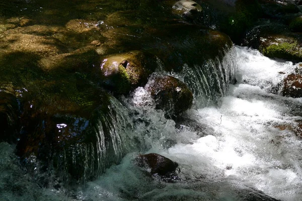 Dumanlı Dağların Manzarası — Stok fotoğraf