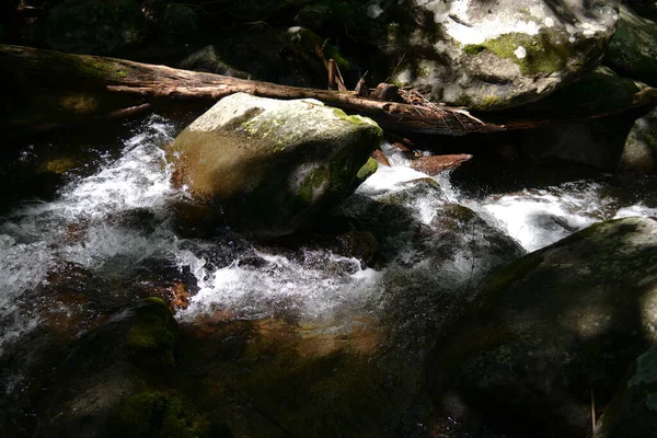 Scenic View Smoky Mountains — Stock Photo, Image