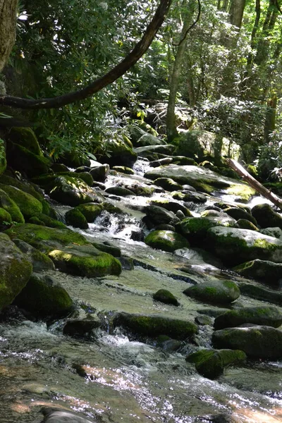 Scenic View Smoky Mountains — Zdjęcie stockowe