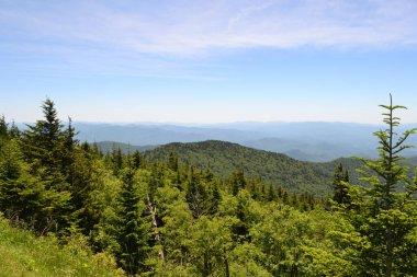 Dumanlı dağların manzarası