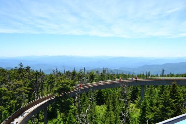 Dumanlı dağların manzarası