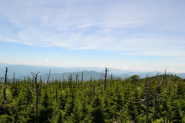 Panoramisch Uitzicht Rokerige Bergen — Stockfoto