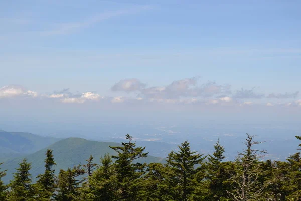 Scenic View Smoky Mountains – stockfoto