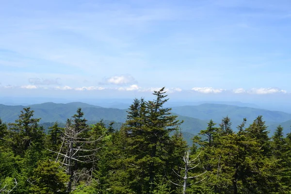 Scenic View Smoky Mountains — Stockfoto