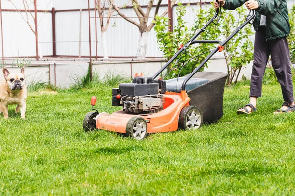 Lawn Mover Green Grass Sunny Day Lawn Mover Green Grass — Photo