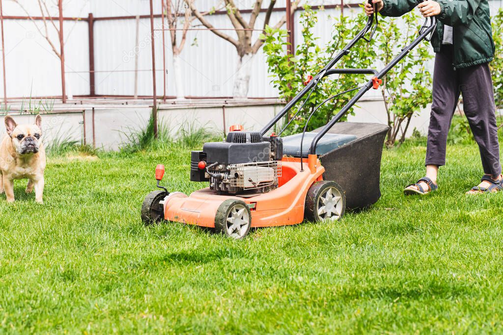 Lawn mover on green grass in sunny day. Lawn mover on green grass in modern garden. Machine for cutting lawns