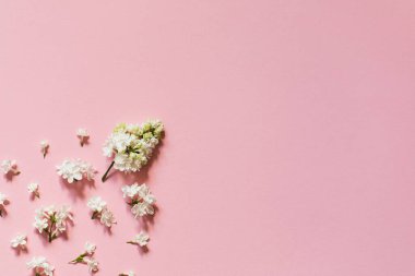 Pembe kâğıt üzerindeki leylak deseninden yaratıcı bir tebrik. Bahar çiçeği konsepti. Düz konum, üst görünüm, kopyalama alanı.