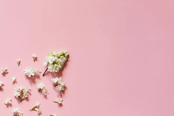 Diseño Felicitaciones Creativas Lila Sobre Papel Rosa Concepto Flor Primavera — Foto de Stock