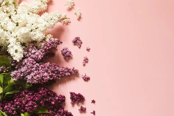 Primavera Flores Lila Sobre Fondo Rosa Borde Decorativo Copia Espacio — Foto de Stock