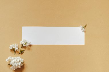 Beyaz kartlı leylak çiçekleri. Beyaz kağıt üzerindeki leylak deseninden yaratıcı bir tebrik planı. Bahar çiçeği konsepti. Düz konum, üst görünüm, kopyalama alanı.