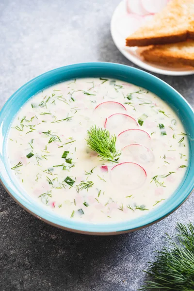 Summer Yoghurt Cold Soup Radish Cucumber Potato Sausage Okroshka Summer — Stock Photo, Image