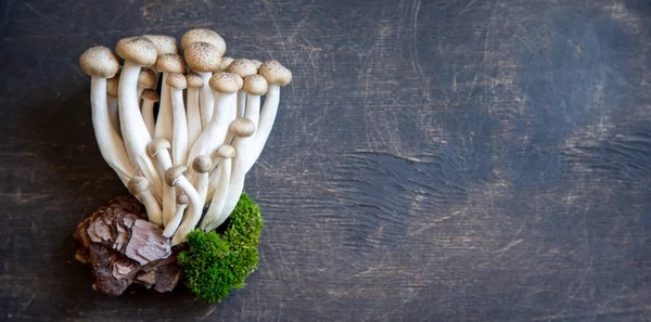 Cluster Fresh Brown Shimeji Mushrooms Close Shimeji Mushrooms Wooden Background — Stock Photo, Image