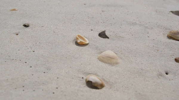 Praia Areia Branca Key West — Fotografia de Stock