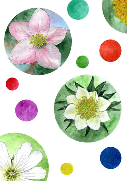 Ręcznie Rysunek Akwarela Kolor Wiosna Kwiaty Bables Stok Ilustracja — Zdjęcie stockowe