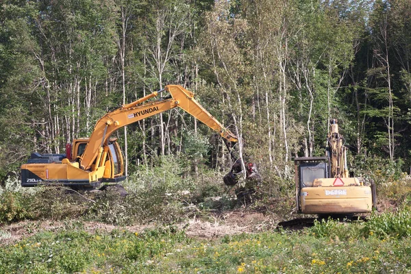 Enfield, Kanada - Eylül 18, 2014: Hyundai R210lc-9 enfield yakınlarındaki işlemci temizleme orman, Ns. Hyundai Hidrolik paletli ve tekerlekli ekskavatörler önde gelen üreticisidir.