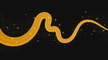 Koyu arkaplanda parlak ve parıltılı bir etkisi olan altın dalga. Parıltılı parıltılı altın dalga çizgileri