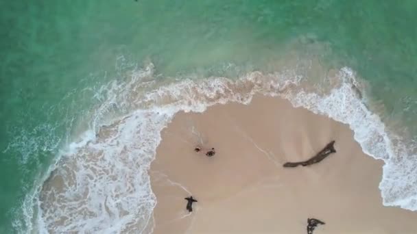 Drone View Couple Dancing Caribbean Island Beach Summer Visiting Bocas — ストック動画