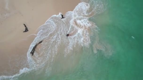 Drone View Couple Caribbean Island Summer Visiting Bocas Del Toro — ストック動画