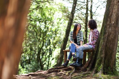 Young latin couple sitting in the forest smiling looking each other at Costa Rica. High quality photo
