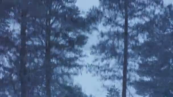 Peaceful Blue Snow Covered Landscape Lapland Finland Aerial Rising — Vídeo de Stock