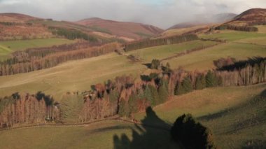 Cairngorms Ulusal Parkı 'nın içindeki Blair Athol' da yaz havası altında çeşitli ağaçların olduğu geniş bir fundalık. - Havadan çekim.