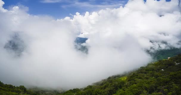 Timelapse Clouds Forming Valley Amazon Rainforest Scenery South America Time — Stok video