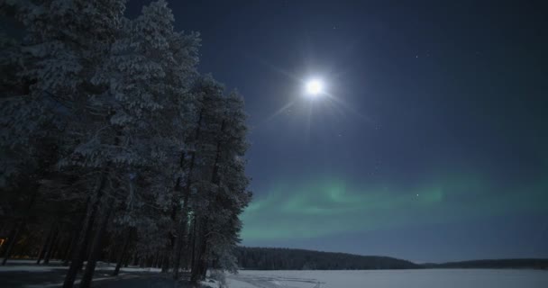 Northern Lights Time Lapse Aurora Borealis Moon Night Stars Timelapse — Video