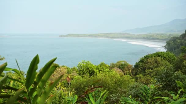 Costa Rica Tropical Rainforest Coastal Scenery Pacific Ocean Landscape Coast — Wideo stockowe