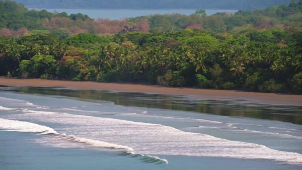 Uvita Sandy Beach Costa Rica Tropical Rainforest Coastal Scenery Pacific — Wideo stockowe