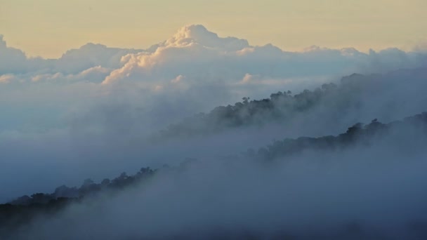 Timelapse Costa Rica Landscape Nature Time Lapse Low Lying Clouds — Stock video