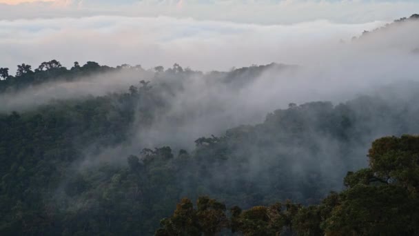 Timelapse Costa Rica Rainforest Landscape Nature Time Lapse Misty Mountains — Stock video