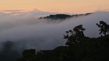 Costa Rica Misty Rainforest Landscape with Mountains and Jungle Scenery in Low Lying Mist and Clouds Rolling Through Valley in Orange Sunset Dramatic Beautiful Light, Los Quetzales National Park
