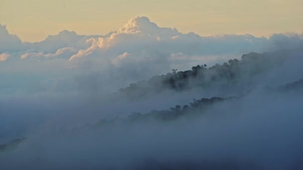 Costa Rica Misty Rainforest Landscape Mountains Low Lying Mist Clouds — ストック動画