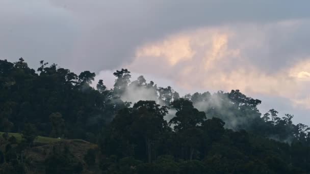 Costa Rica Misty Rainforest Landscape Mountains Scenery Jungle Low Lying — Stok video