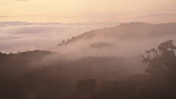 Costa Rica Misty Rainforest Landscape Mountains Jungle Scenery Low Lying — Αρχείο Βίντεο