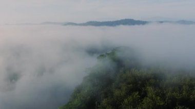 Aerial Drone View of Costa Rica Rainforest Landscape with River and Mountains, Amazing Nature and Misty Tropical Jungle Scenery Above the Clouds and Trees in Mist, Boca Tapada