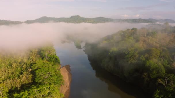 Aerial Drone View Costa Rica Rainforest Landscape River Mountains Amazing — Stock video