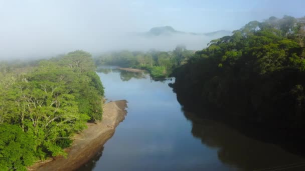 Aerial Drone View San Carlos River Rio San Carlos Costa — Stock videók