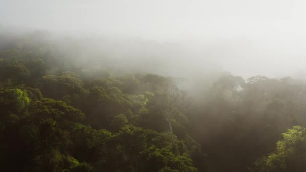 Aerial Drone Shot Climate Change Costa Rica Misty Rainforest Scenery — Wideo stockowe