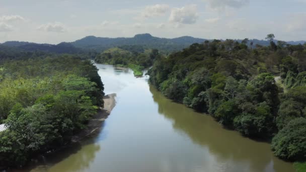 Aerial Drone View Rainforest River Mountains Scenery Costa Rica Boca — Stockvideo